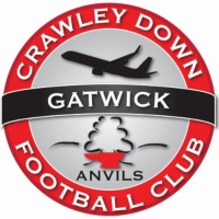 Crawley Down Gatwick Girls